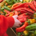 REBEKAH ROCHELLE PHOTOGRAPHY